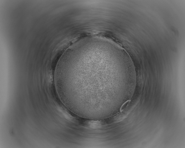 X0000113000085200909031302