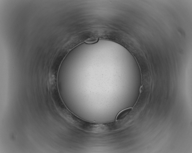 X0000113000087200909031302