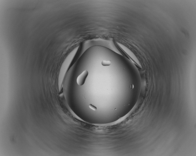 X0000113000088200909031302