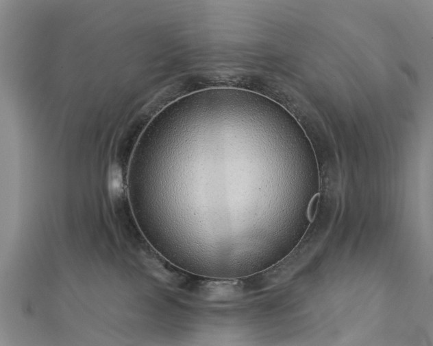 X0000113000089200909031302