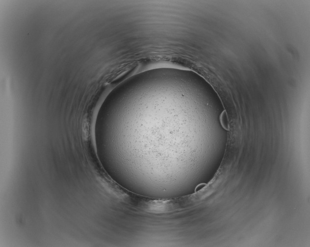 X0000113000090200909031302