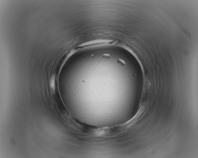 X0000113000094200909031302