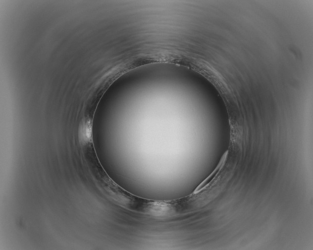 X0000113000095200909031302