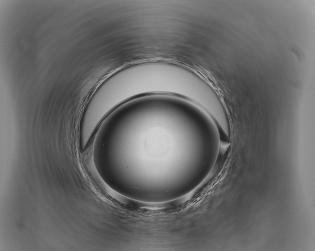 X0000113000097200909031301