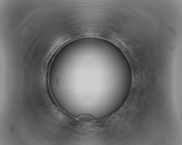 X0000113000098200909031301