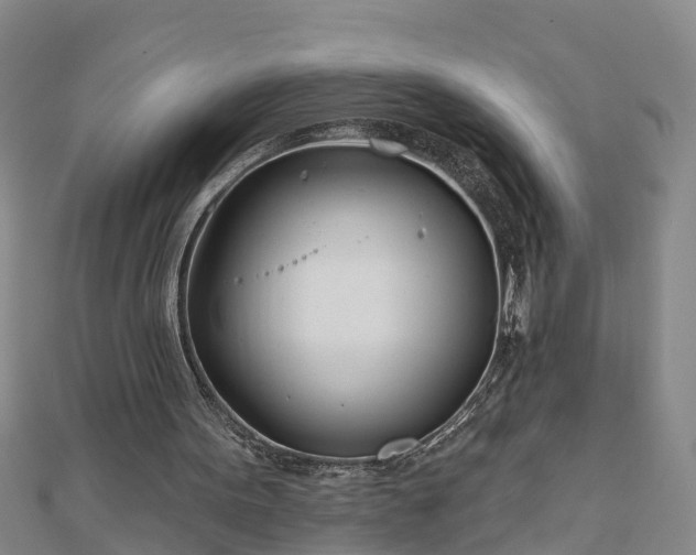 X0000113000099200909031301