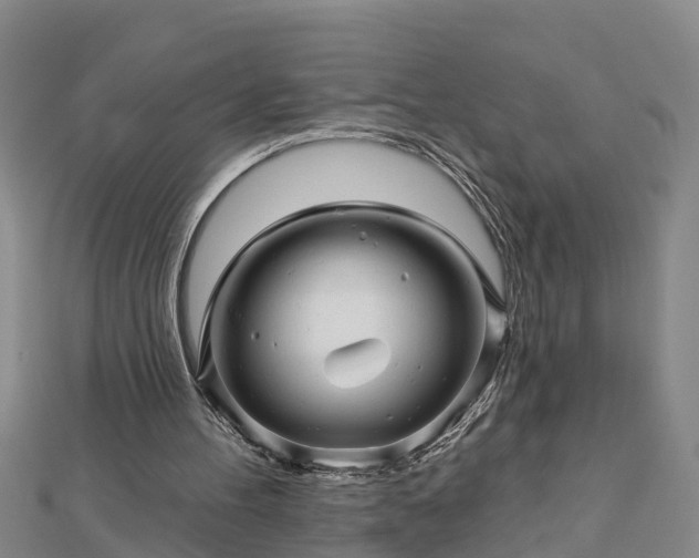 X0000113000100200909031301