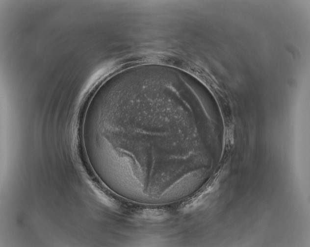 X0000113000101200909031301