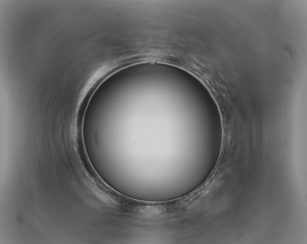 X0000113000102200909031301