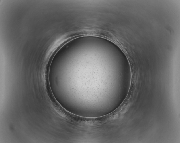 X0000113000103200909031301