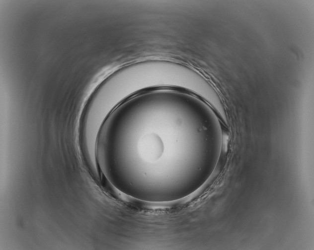 X0000113000104200909031301