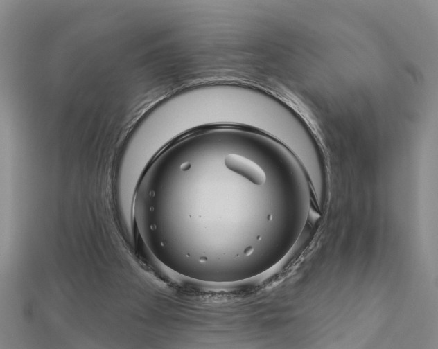 X0000113000105200909031301