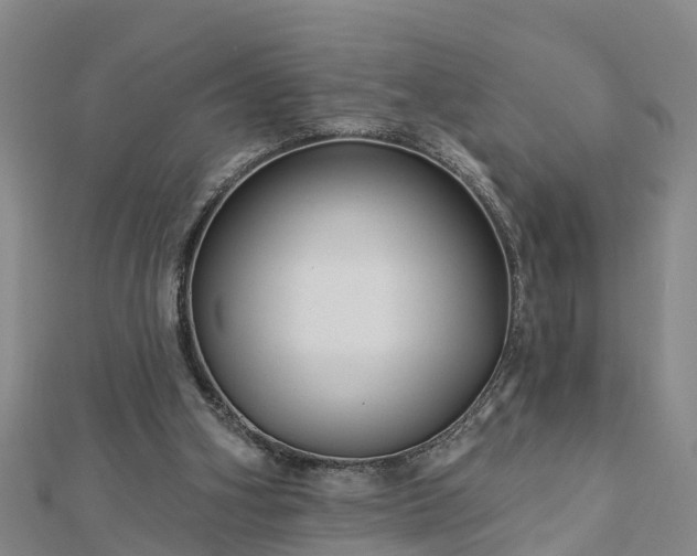 X0000113000106200909031301