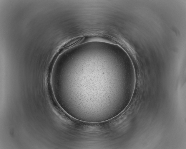 X0000113000107200909031301