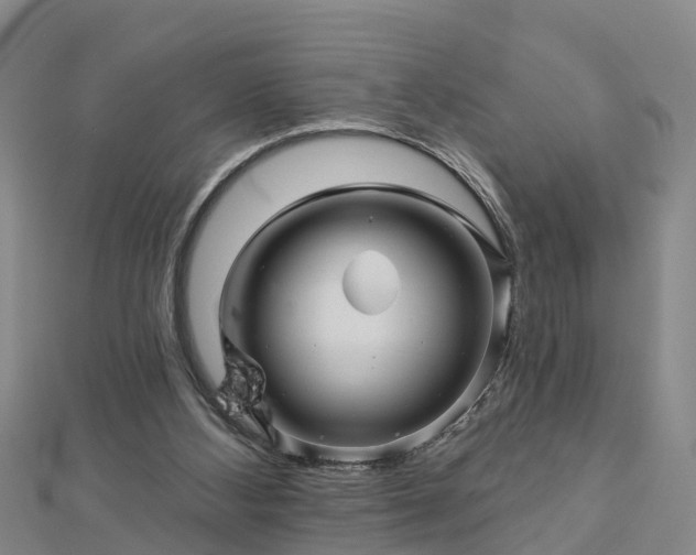 X0000113000108200909031301