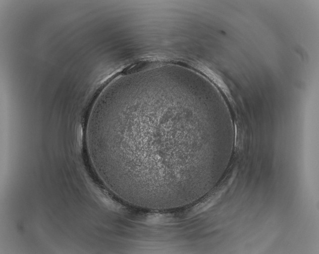 X0000113000109200909031301