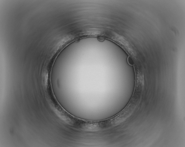 X0000113000110200909031301