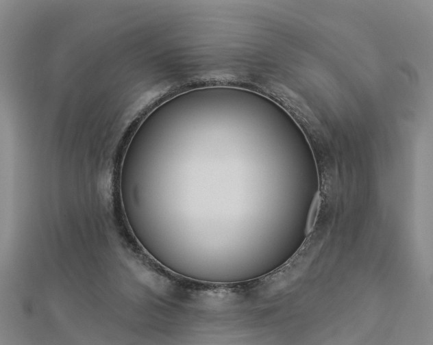 X0000113000112200909031301