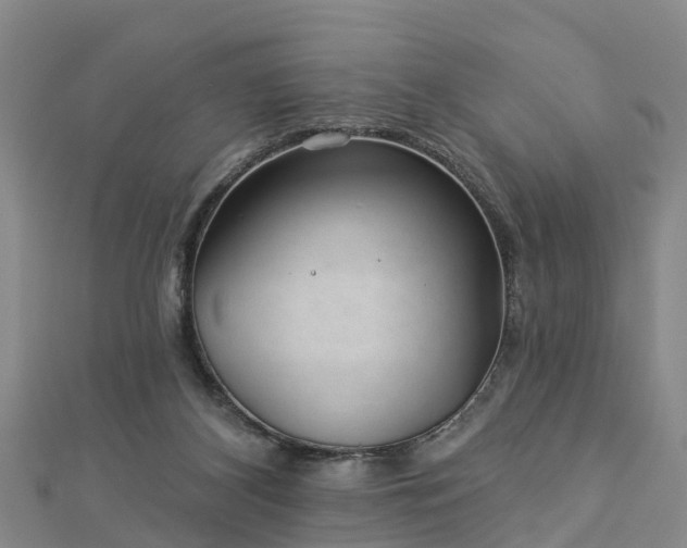 X0000113000116200909031301