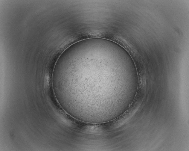 X0000113000117200909031301