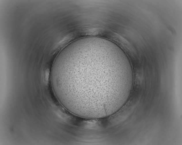 X0000113000118200909031301