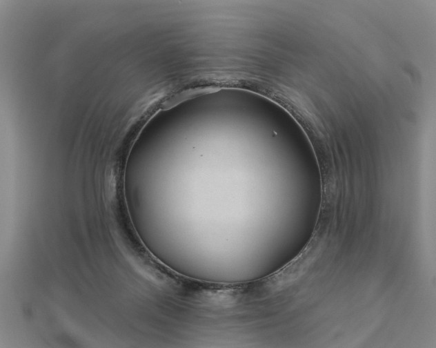 X0000113000120200909031301