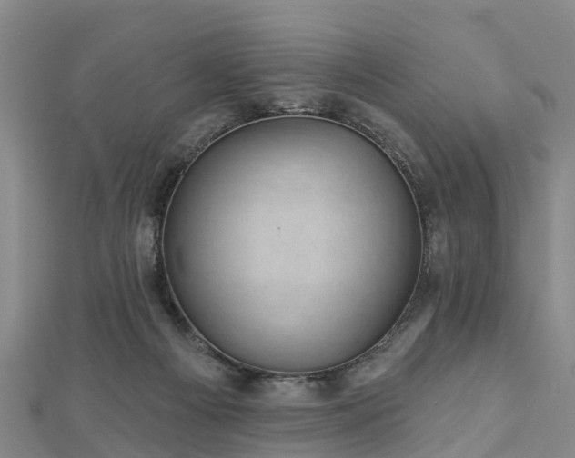 X0000113000121200909031301