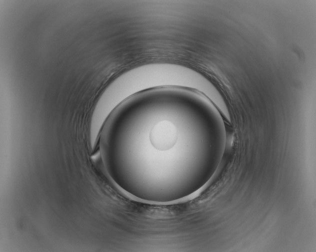 X0000113000123200909031301