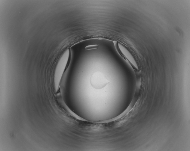 X0000113000124200909031301