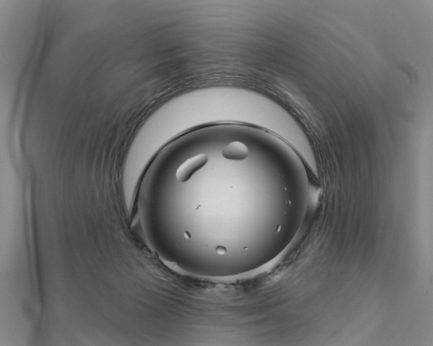 X0000113000125200909031301