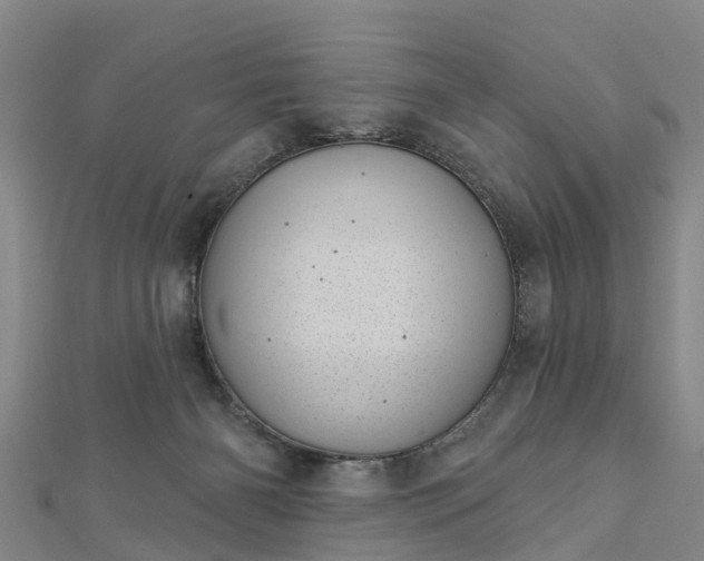 X0000113000126200909031301