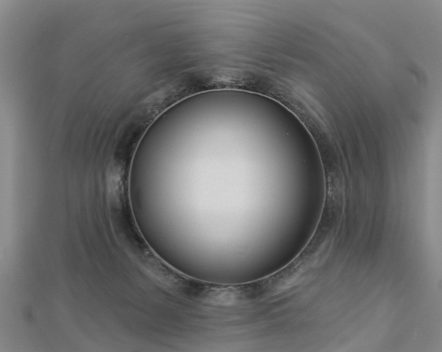 X0000113000127200909031301