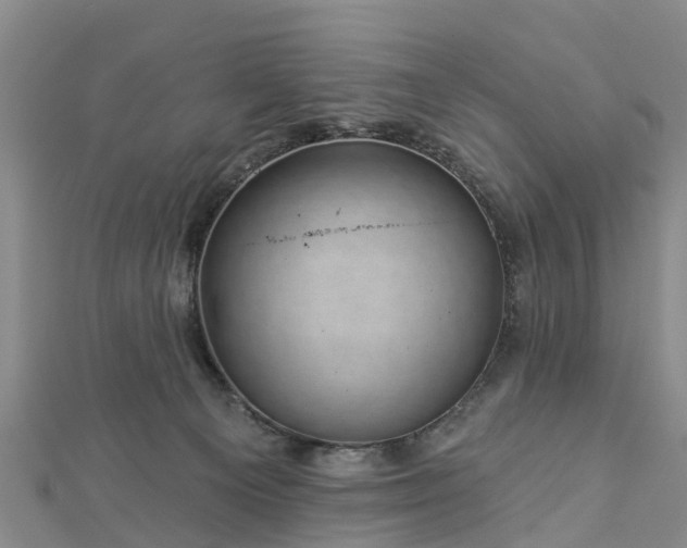 X0000113000129200909031301