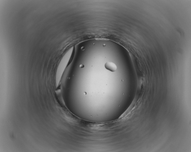 X0000113000132200909031301