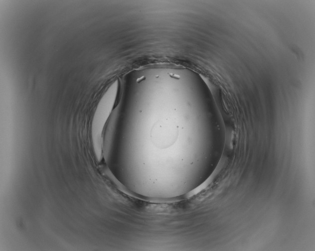 X0000113000133200909031301