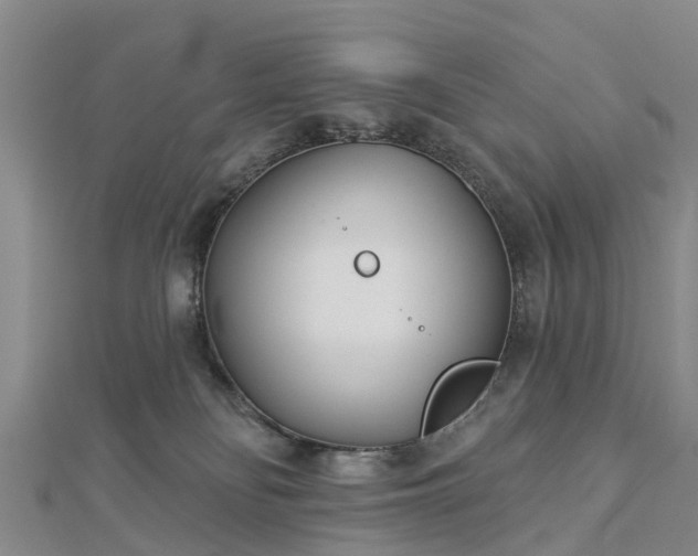 X0000113000134200909031301