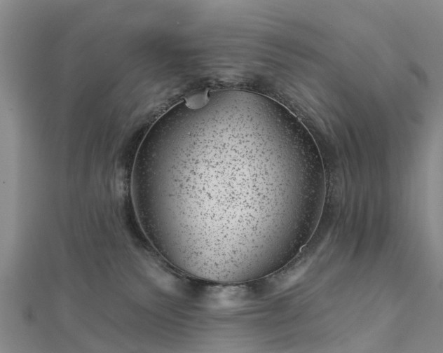 X0000113000135200909031301