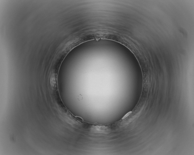 X0000113000137200909031301