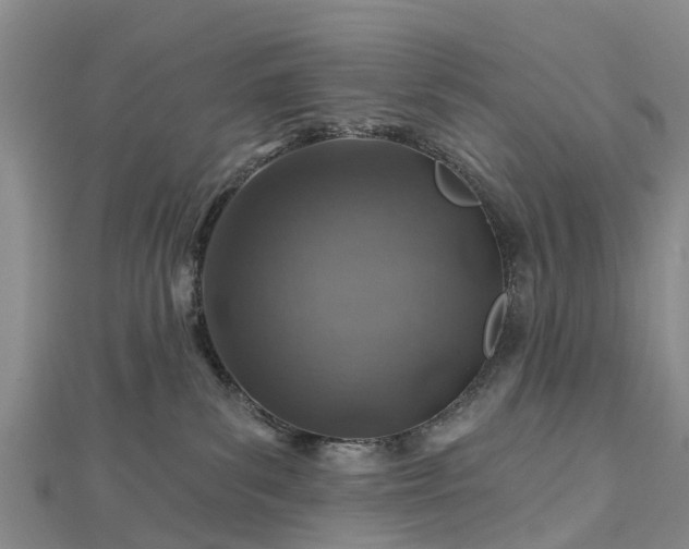 X0000113000139200909031301