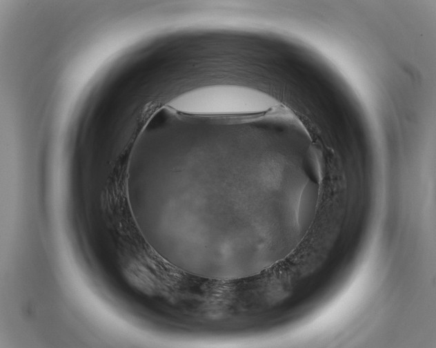 X0000113000143200909031301