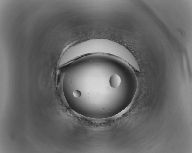 X0000113000144200909031301