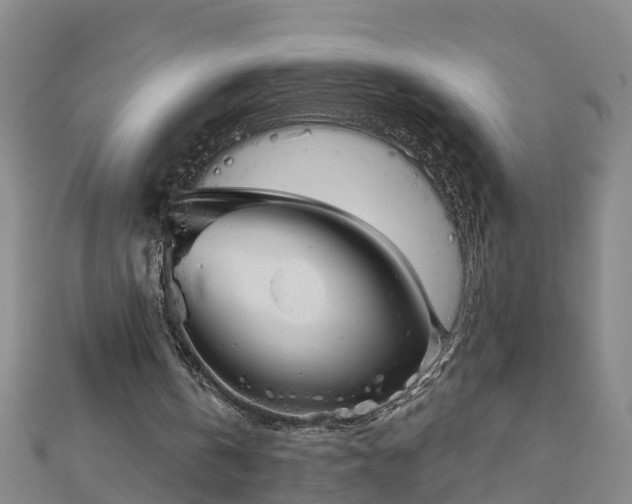 X0000113000146200909031300