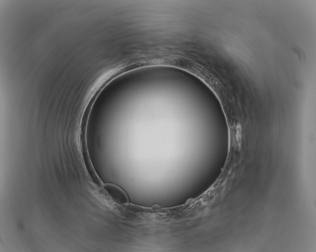 X0000113000147200909031300