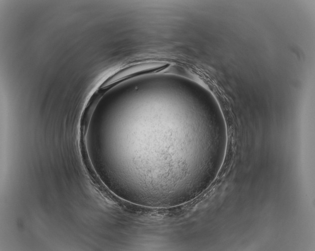 X0000113000148200909031300