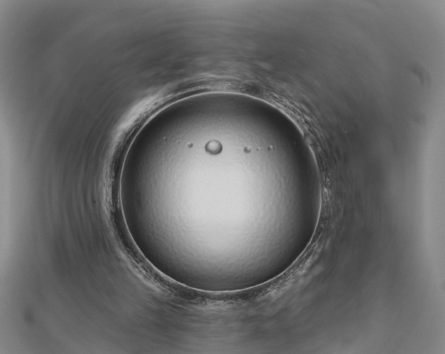 X0000113000149200909031300