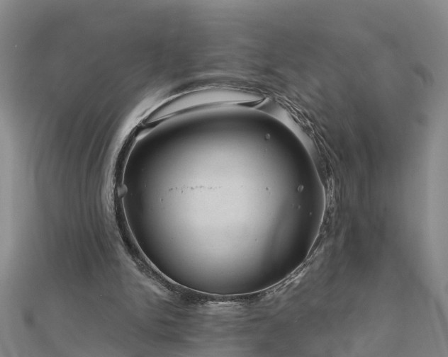 X0000113000150200909031300