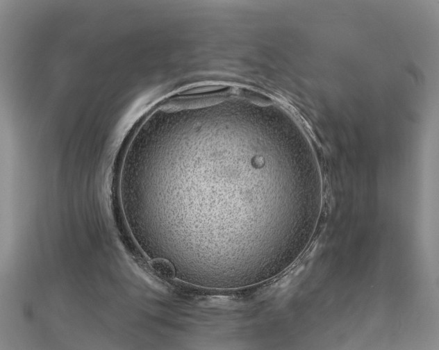 X0000113000151200909031300