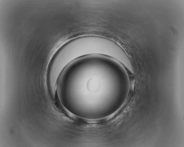 X0000113000152200909031300