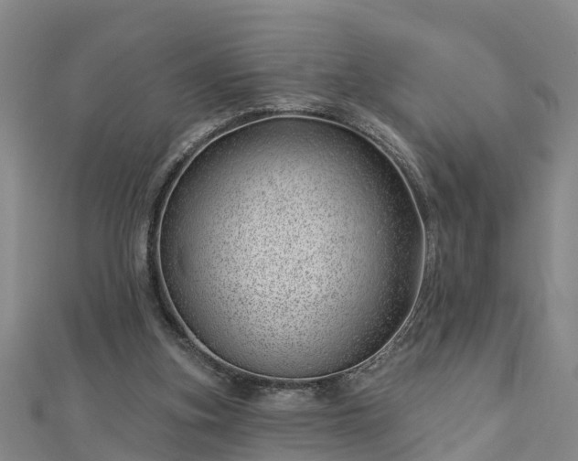 X0000113000155200909031300