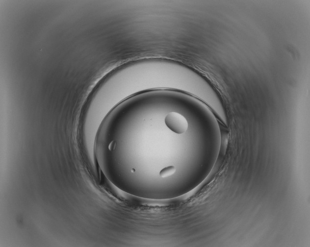 X0000113000156200909031300